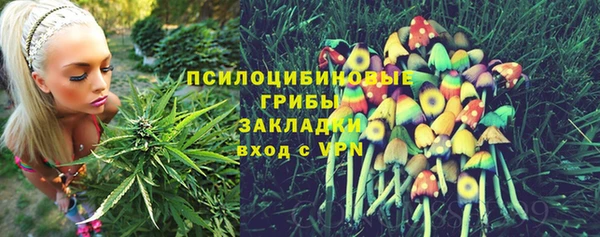 дживик Липки