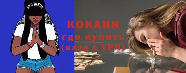 дживик Липки