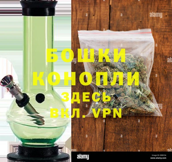 дживик Липки