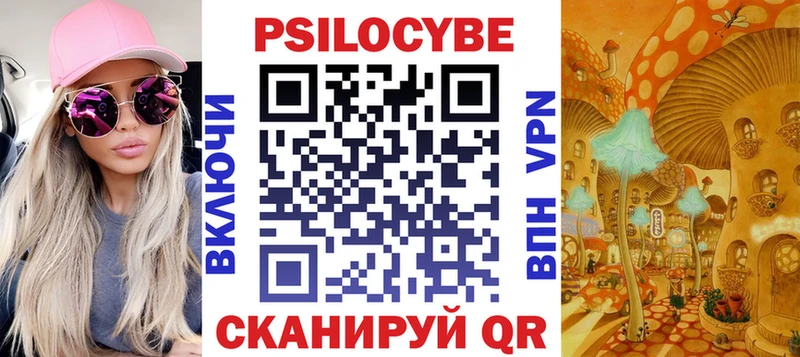 как найти закладки  Новая Усмань  Галлюциногенные грибы Cubensis 